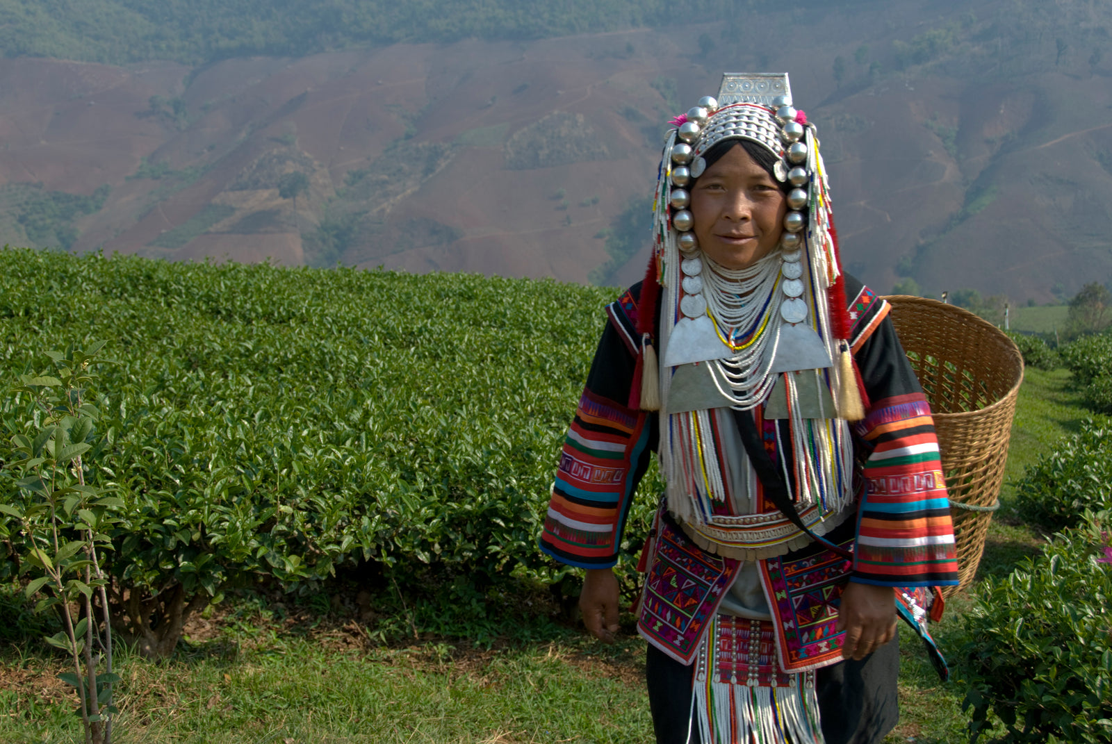INTERNATIONALER TAG DES TEES