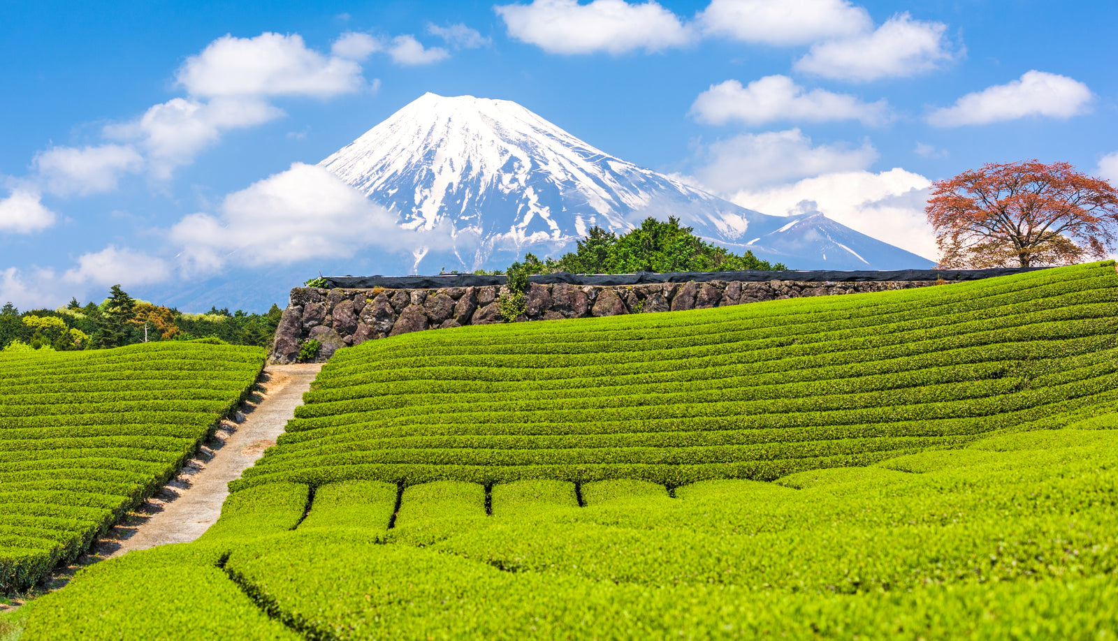 Eine Reise durchs Land der aufgehenden Sonne - Kapitel 2