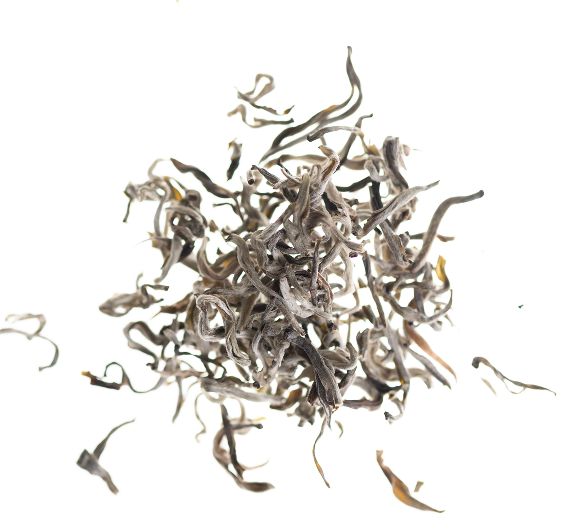 Bai Hu Die – Weisser Schmetterling