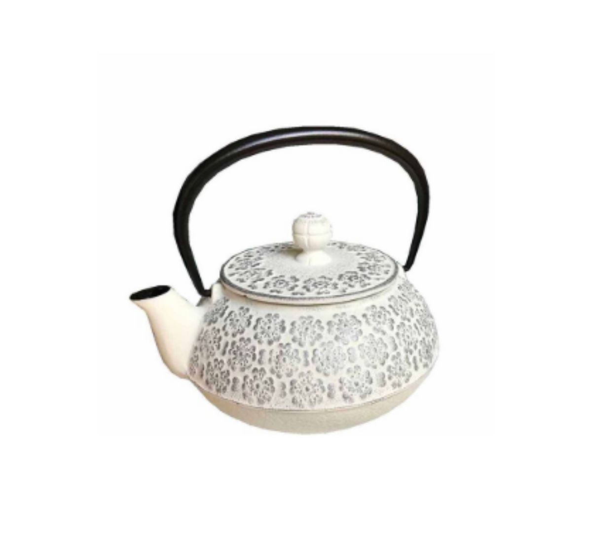 Cast iron teapot IWACHU 0.95 liters