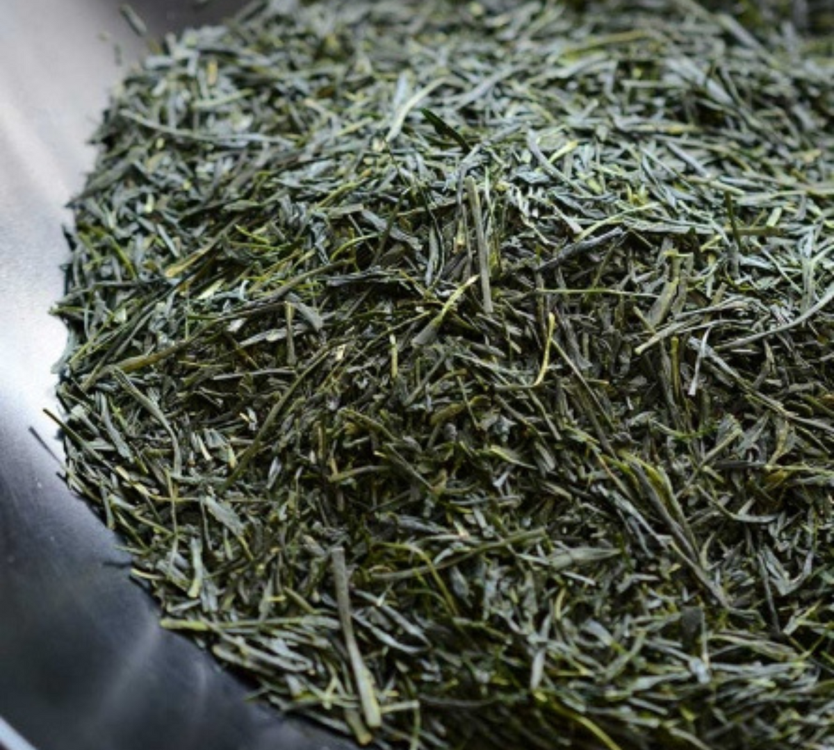 Shincha Gyokuro Asanoka 2024