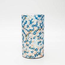 Noble box with paper cover 100g